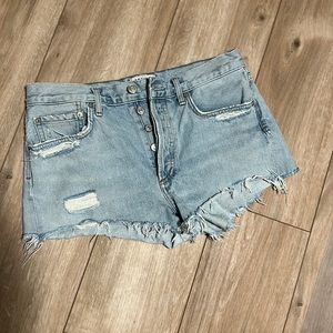 Agolde Parker Vintage Cutoff Distressed Jean Shorts in “Bitter” 27 A206H-811